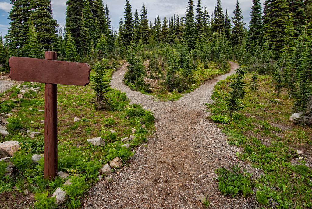 Path