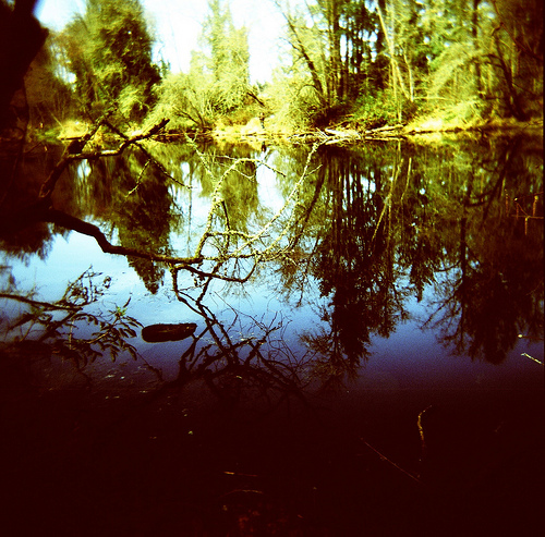 Nature: