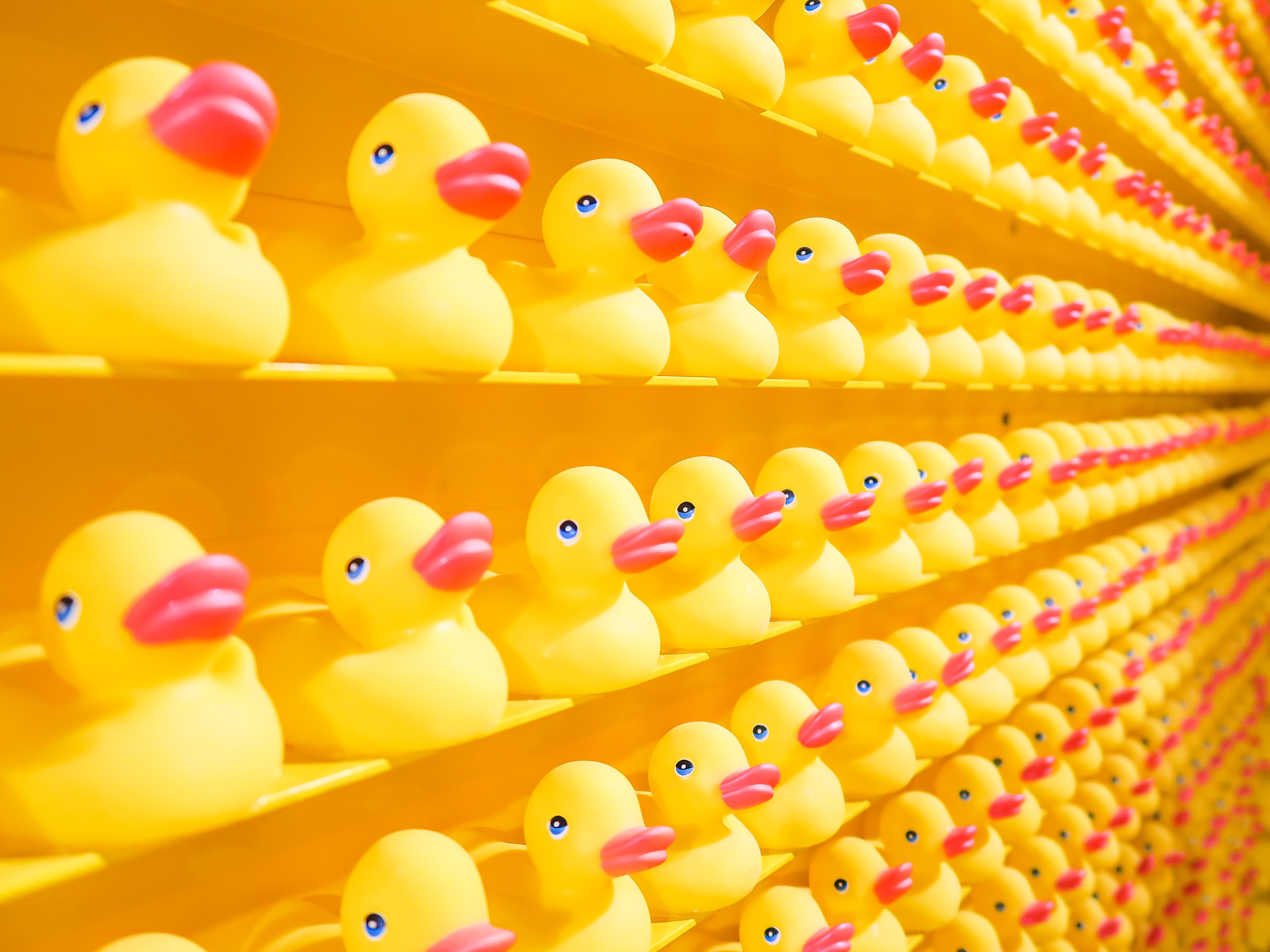 The