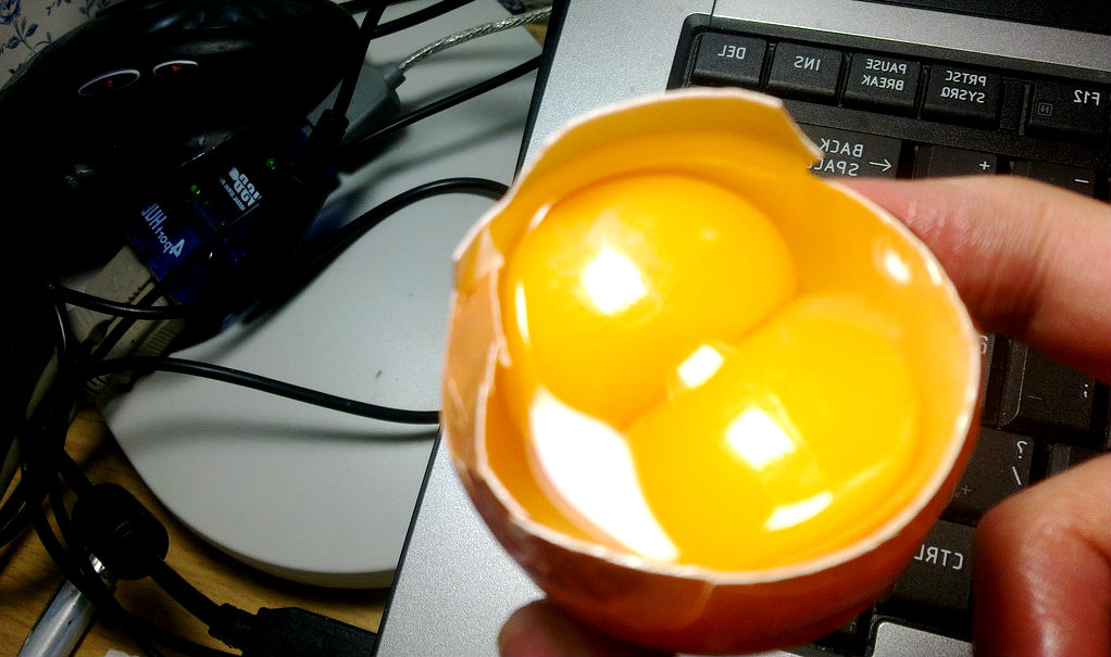 Double-yolking